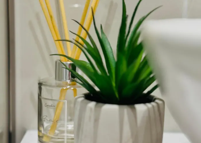 Sunset Hill Apartman