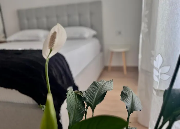 Sunset Hill Apartman *