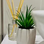 Sunset Hill Appartement