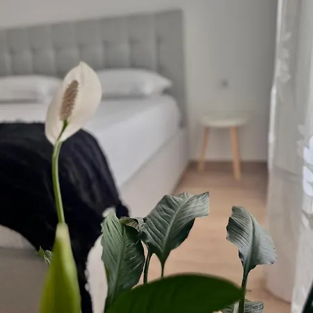 Sunset Hill Appartement *